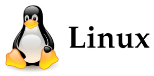 linux-logo-600x300